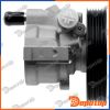 Pompe de direction assistée pour RENAULT | SPW-RE-001, 15-0652